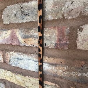 JCrew Calf hair leopard print leather accessory belt